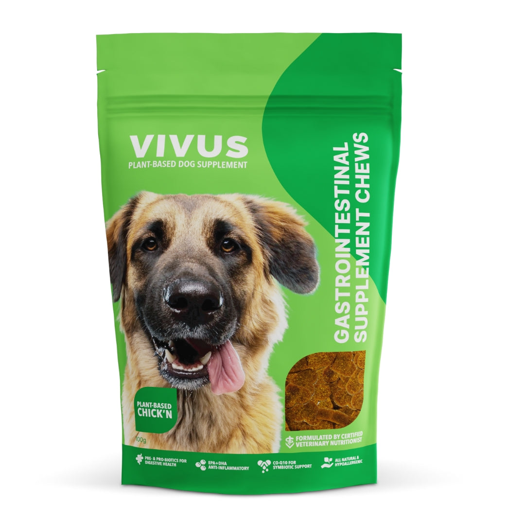 Vegan Gastrointestinal Support Chewable Supplement for Dogs